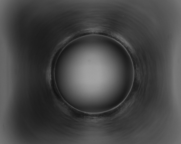 X0000100780486200806191306