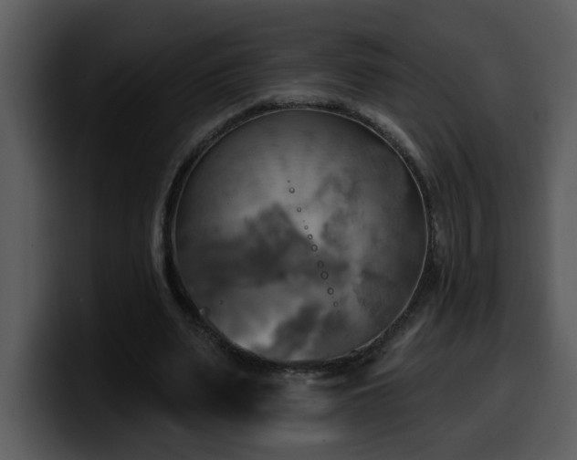 X0000100780487200806191306