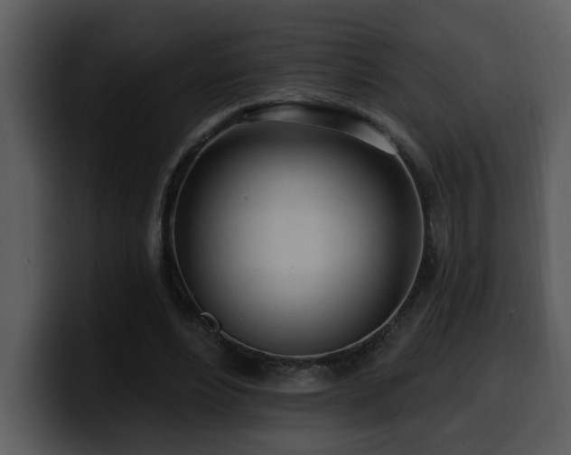 X0000100780488200806191306