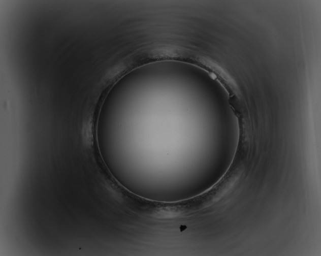 X0000100780489200806191306