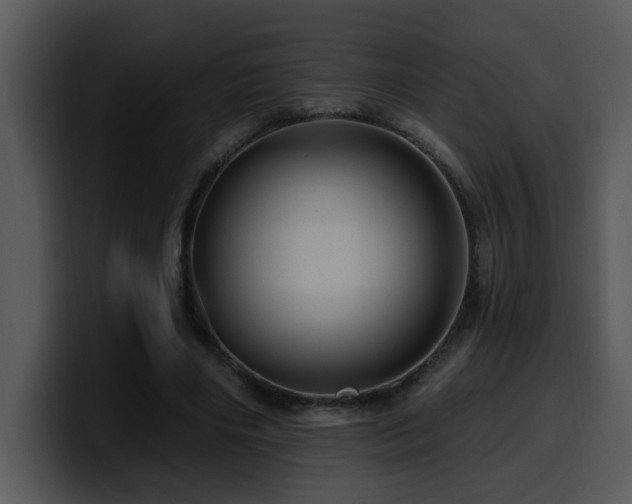 X0000100780490200806191306