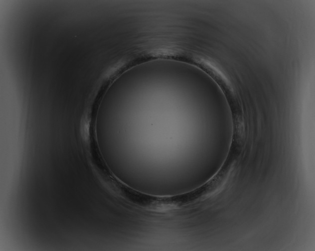 X0000100780491200806191306