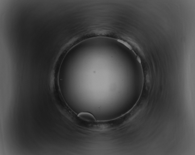 X0000100780492200806191306