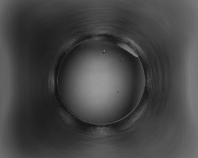 X0000100780493200806191306