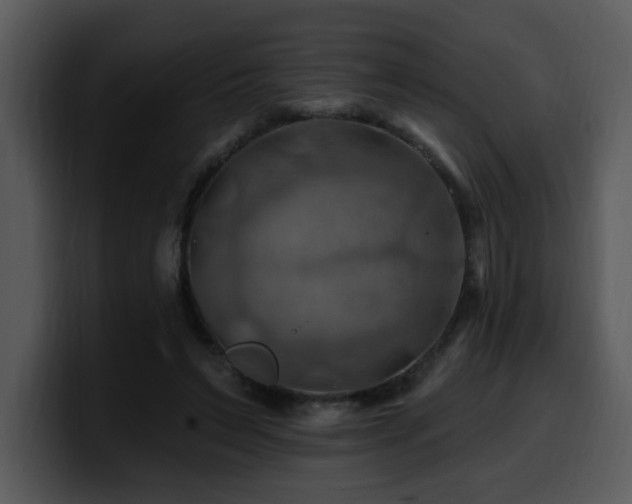 X0000100780495200806191305