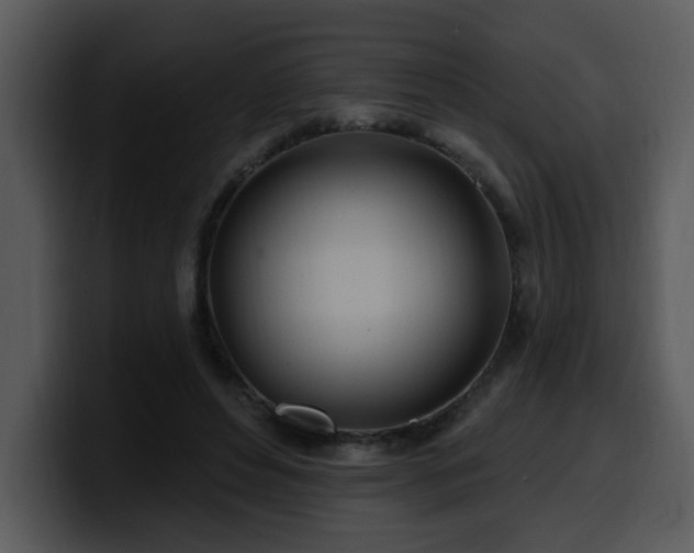 X0000100780496200806191305