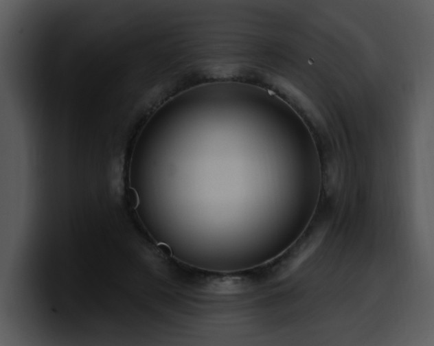 X0000100780497200806191305