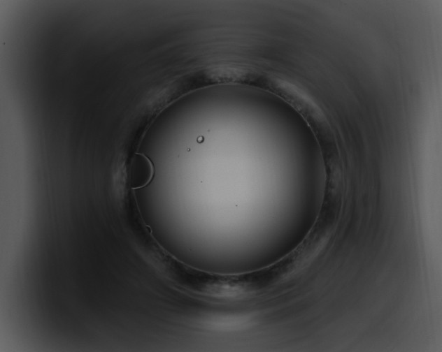 X0000100780498200806191305