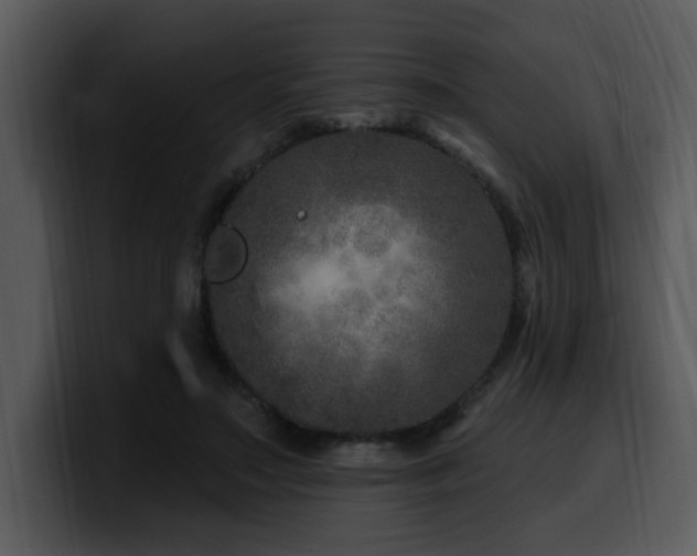 X0000100780499200806191305