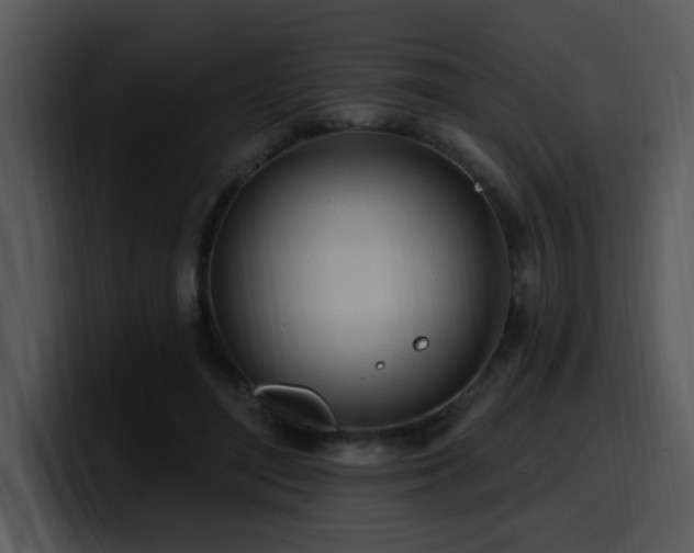 X0000100780500200806191305