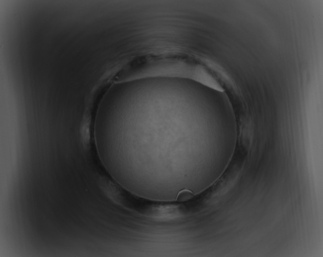 X0000100780501200806191305