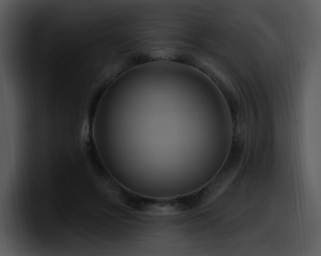 X0000100780502200806191305