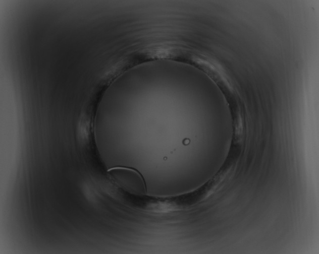 X0000100780503200806191305