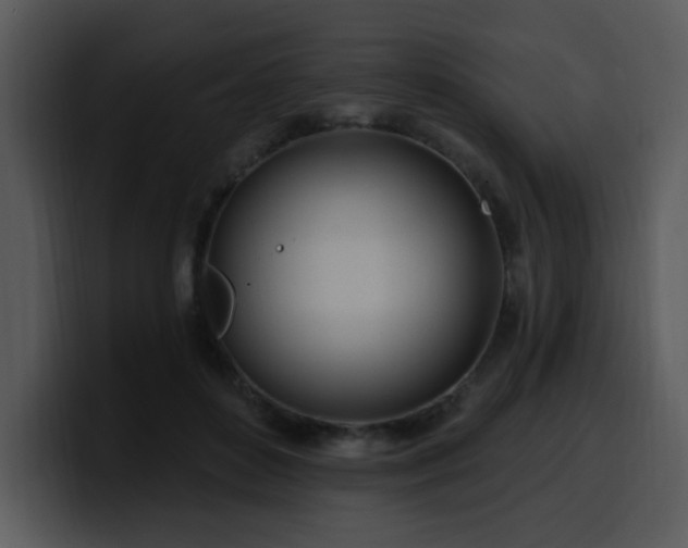 X0000100780504200806191305