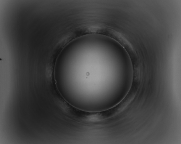 X0000100780505200806191305