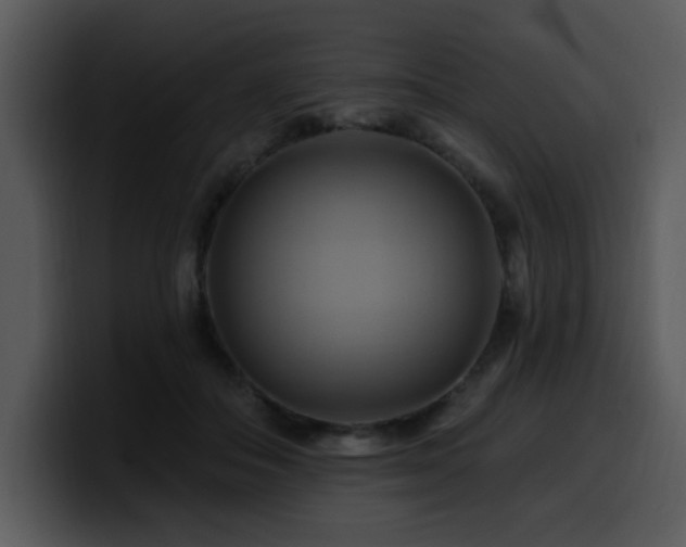 X0000100780506200806191305