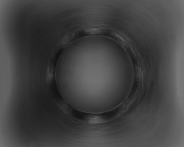 X0000100780507200806191305