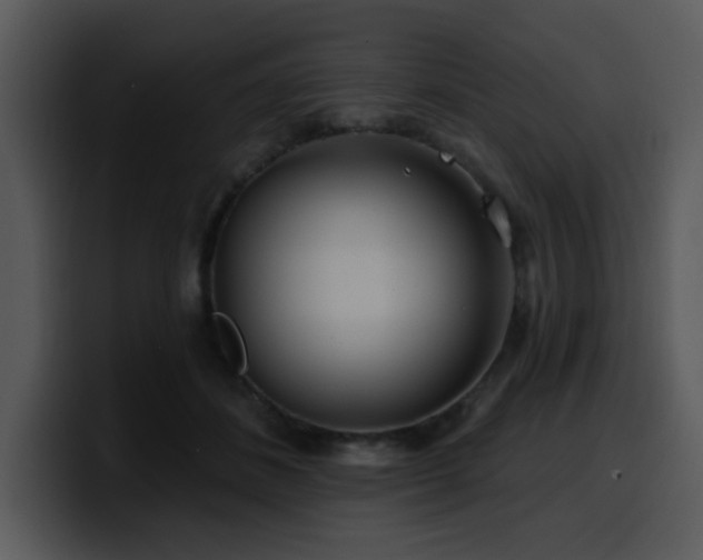 X0000100780508200806191305