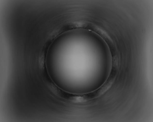 X0000100780509200806191305