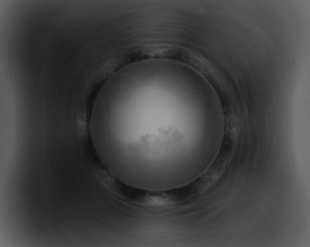 X0000100780510200806191305