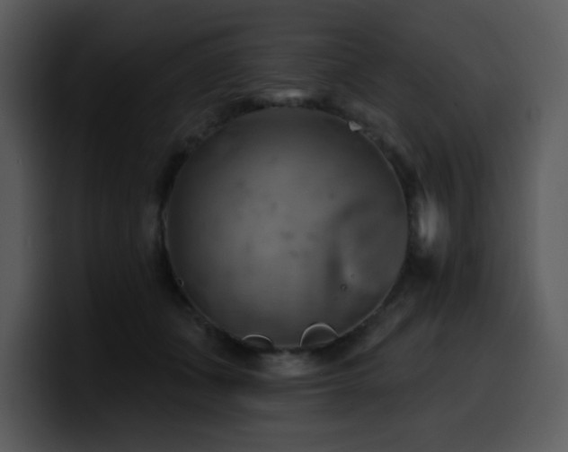 X0000100780511200806191305