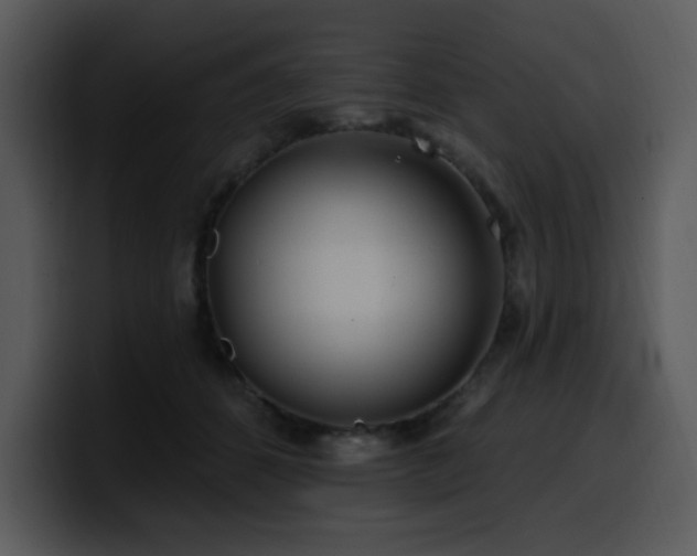 X0000100780512200806191305