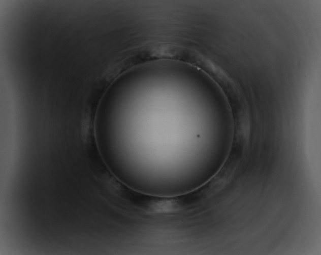 X0000100780513200806191305