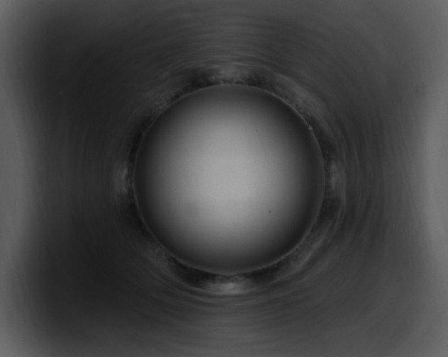 X0000100780514200806191305