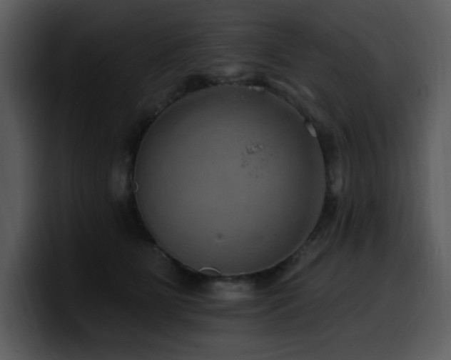 X0000100780515200806191305