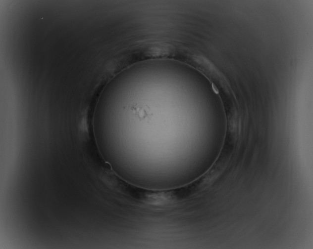 X0000100780516200806191305