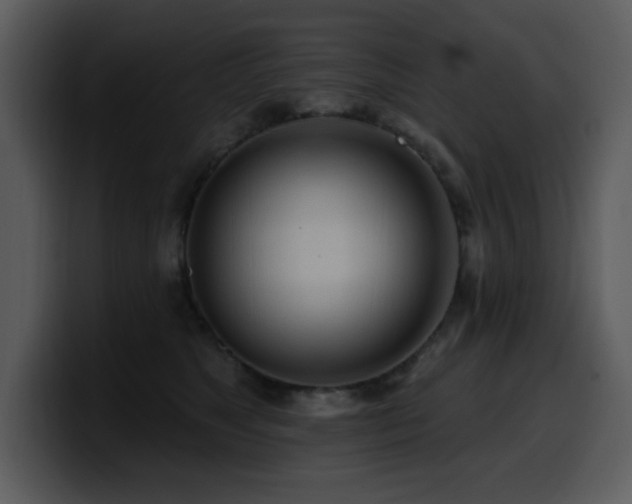 X0000100780517200806191305