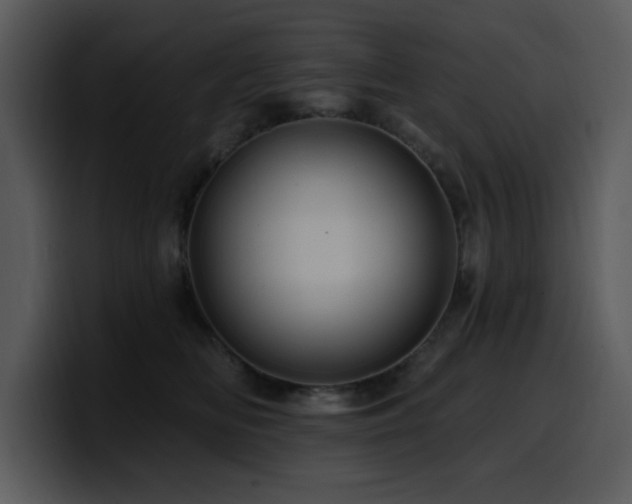 X0000100780518200806191305