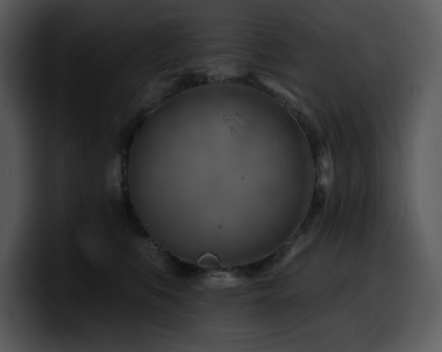 X0000100780519200806191305