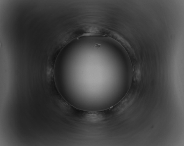 X0000100780521200806191305