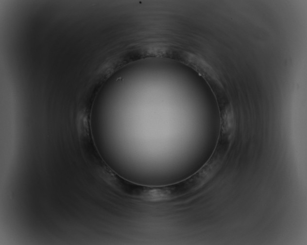 X0000100780522200806191305