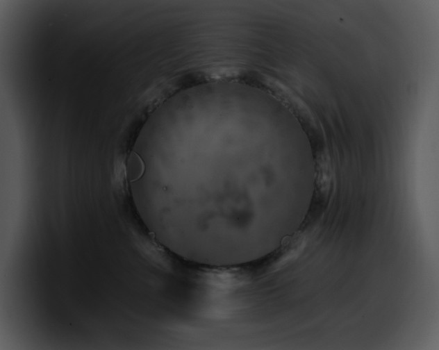 X0000100780523200806191305