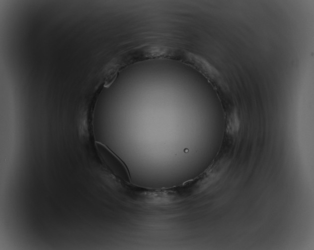 X0000100780524200806191305