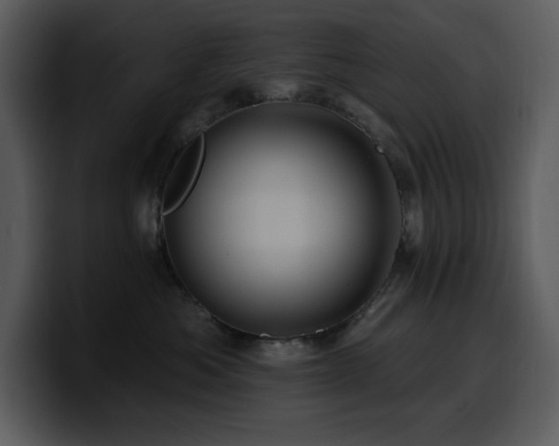 X0000100780525200806191305