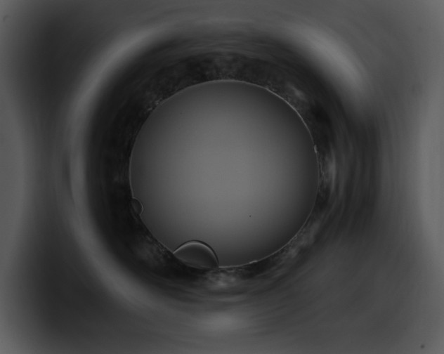 X0000100780526200806191305