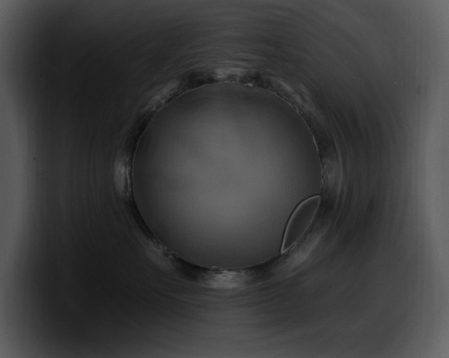 X0000100780527200806191305