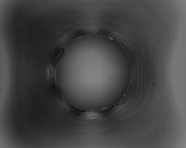 X0000100780528200806191305