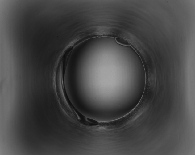 X0000100780530200806191304