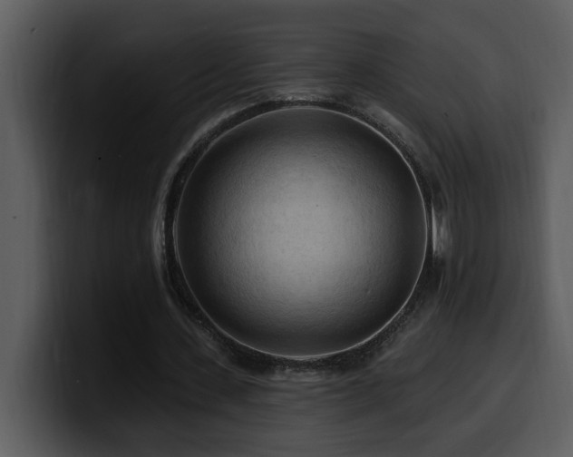 X0000100780531200806191304