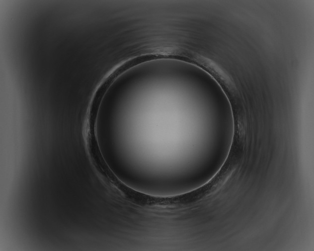 X0000100780532200806191304