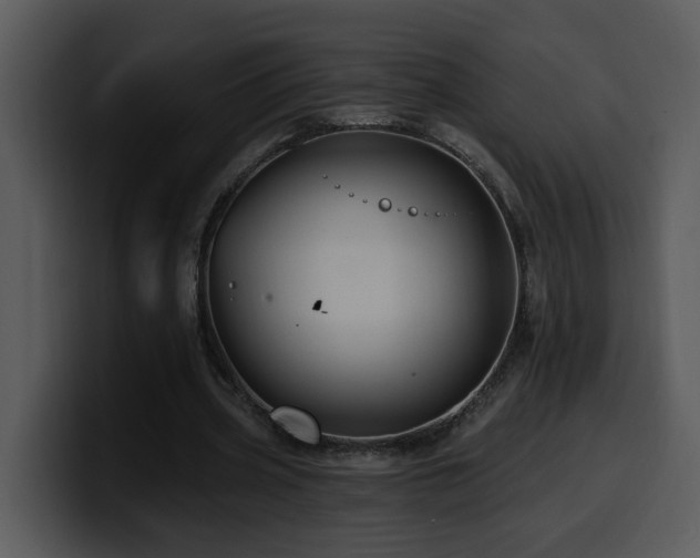 X0000100780533200806191304