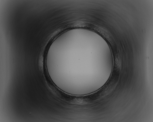 X0000100780534200806191304