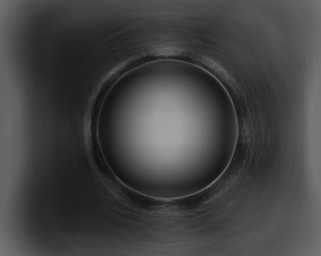 X0000100780535200806191304