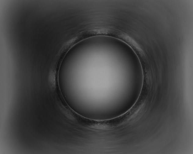 X0000100780537200806191305