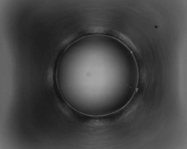 X0000100780538200806191305