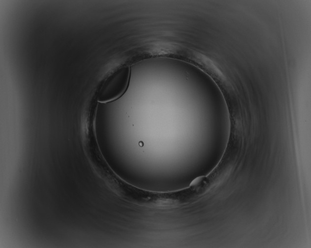 X0000100780539200806191305